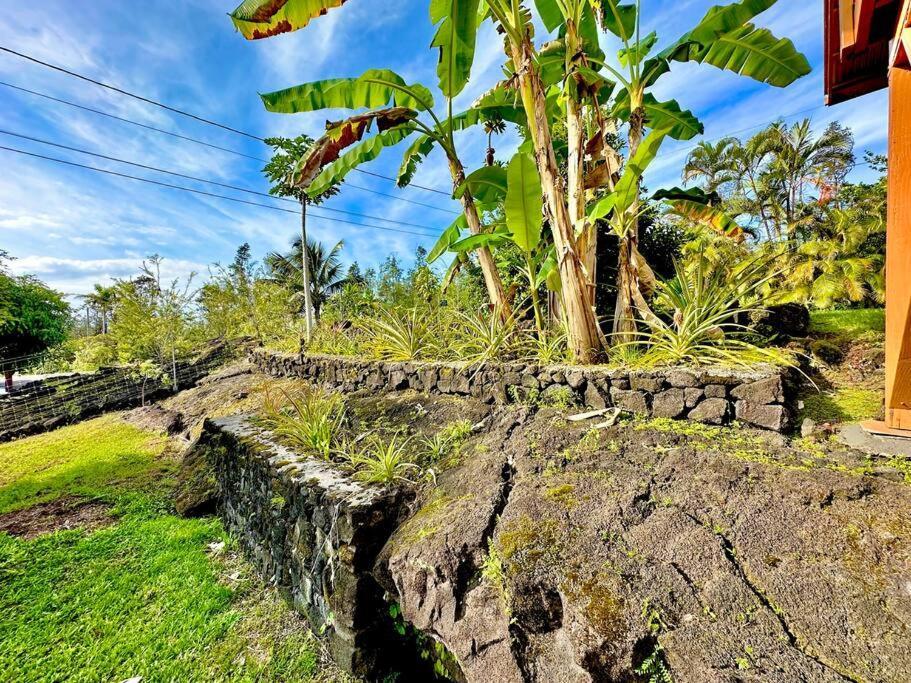 Puna Zen Botanical Garden Retreat Keaau Εξωτερικό φωτογραφία