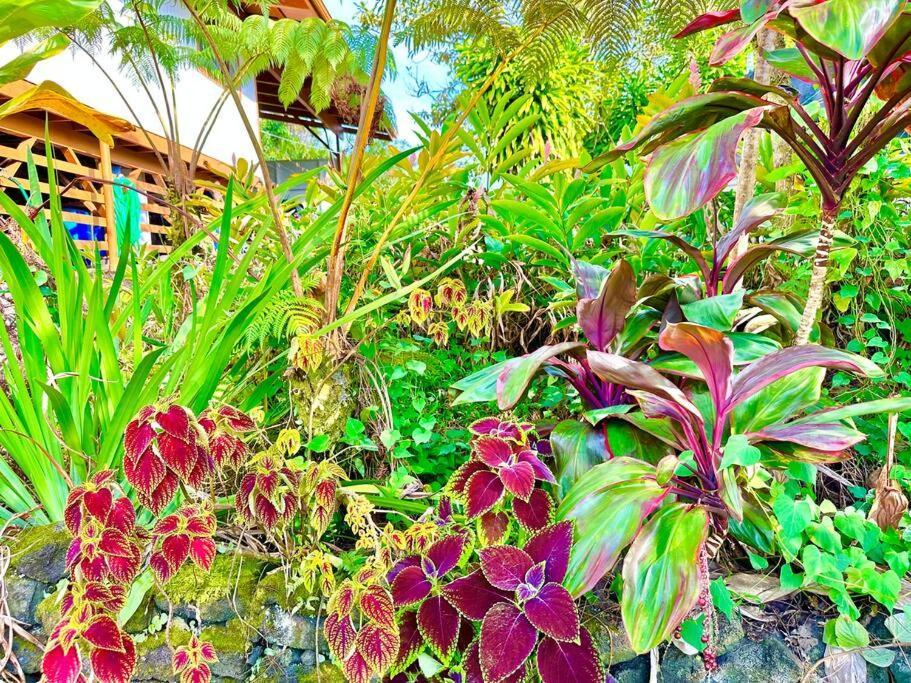 Puna Zen Botanical Garden Retreat Keaau Εξωτερικό φωτογραφία